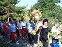 a_Zielna 2013_13